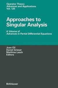 Approaches to Singular Analysis (inbunden)