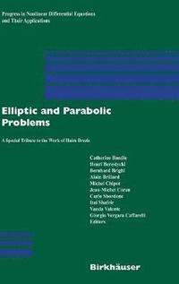 Elliptic and Parabolic Problems (inbunden)