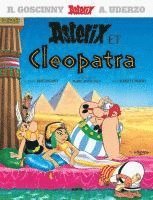 Asterix latein 06 Cleopatra (Latin language) (inbunden)