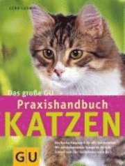 Das groe GU Praxishandbuch Katzen (inbunden)