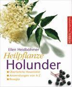Heilpflanze Holunder (inbunden)
