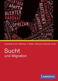 Sucht und Migration (e-bok)