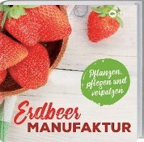 Erdbeer-Manufaktur (inbunden)