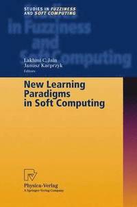 New Learning Paradigms in Soft Computing (inbunden)