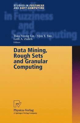 Data Mining, Rough Sets and Granular Computing (inbunden)