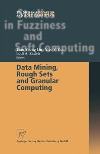 Data Mining, Rough Sets and Granular Computing (e-bok)