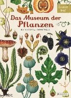 Das Museum der Pflanzen (inbunden)
