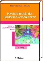 Psychotherapie der Borderline-Persnlichkeit (inbunden)