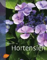 Hortensien (inbunden)