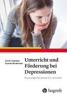 Unterricht und Förderung bei Depressionen (häftad)