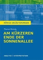 Am kürzeren Ende der Sonnenallee. Textanalyse und Interpretation zu Thomas Brussig (häftad)