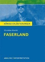 Faserland Textanalyse und Interpretation zu Christian Kracht (hftad)