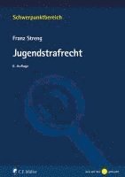 Jugendstrafrecht (h�ftad)