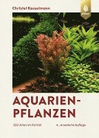 Aquarienpflanzen (inbunden)