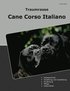 Traumrasse Cane Corso Italiano