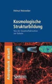 Kosmologische Strukturbildung (hftad)