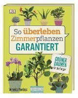 So berleben Zimmerpflanzen garantiert (hftad)