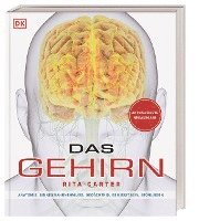 Das Gehirn (inbunden)