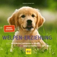 Welpen-Erziehung (hftad)