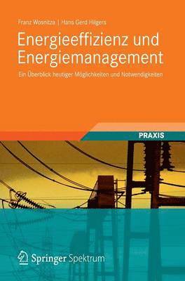 Energieeffizienz und Energiemanagement (inbunden)
