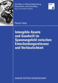 Intangible Assets und Goodwill im Spannungsfeld zwischen Entscheidungsrelevanz und Verlasslichkeit (e-bok)