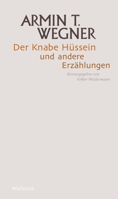 Der Knabe Hüssein und andere Erzÿhlungen (e-bok)