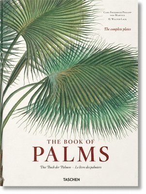 Martius. The Book of Palms (inbunden)