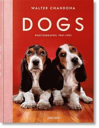 Walter Chandoha. Dogs. Photographs 1941-1991 (inbunden)