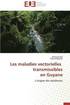 Les maladies vectorielles transmissibles en guyane