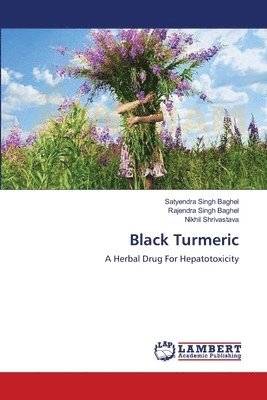 Black Turmeric (hftad)