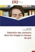 D?tection Des Contours Dans Les Images ? Niveaux de Gris