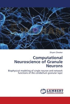 Computational Neuroscience of Granule Neurons (hftad)