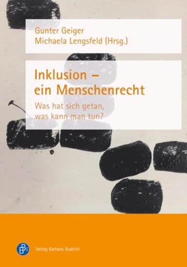 Inklusion ? ein Menschenrecht (e-bok)