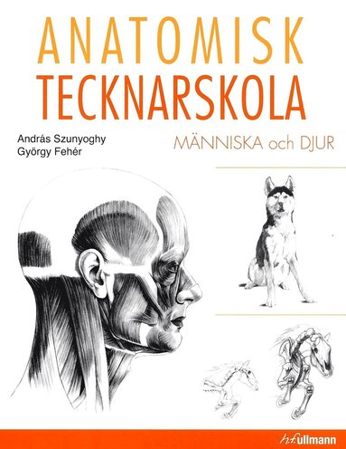 Anatomisk tecknarskola : mnniska och djur (hftad)