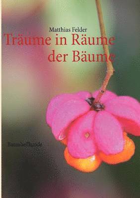 Traume in Raume der Baume (hftad)