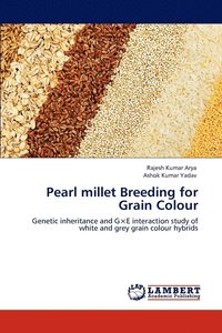 Pearl millet Breeding for Grain Colour (hftad)