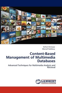 Content-Based Management of Multimedia Databases (hftad)