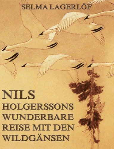 Nils Holgerssons wunderbare Reise mit den Wildgÿnsen (e-bok)