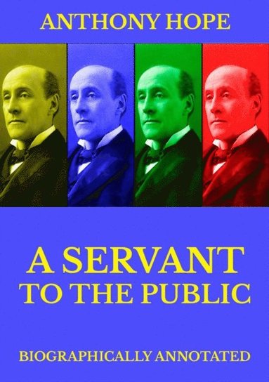 Servant of the Public (e-bok)