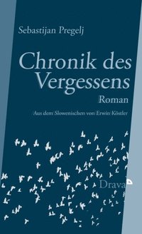 Chronik des Vergessens (e-bok)