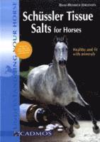 Schussler Tissue Salts for Horses (hftad)