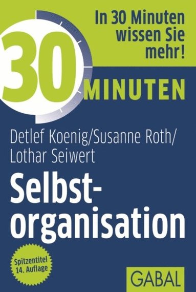 30 Minuten Selbstorganisation (e-bok)