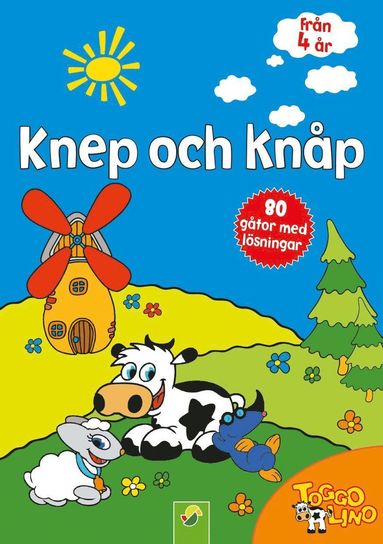 Knep och knåp : 80 gåtor med lösningar (blå) (inbunden)