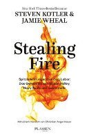 Stealing Fire (inbunden)