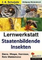 Lernwerkstatt - Staatenbildende Insekten (hftad)