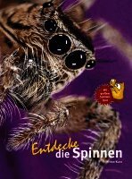 Entdecke die Spinnen (inbunden)