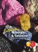 Entdecke Minerale und Gesteine (inbunden)