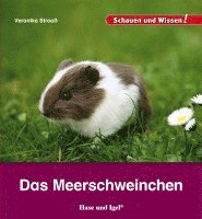 Das Meerschweinchen Veronika Straaß Bok 9783867607827 - 