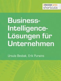 Business-Intelligence-Losungen fur Unternehmen (e-bok)