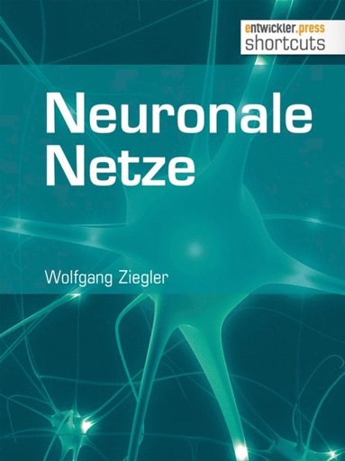 Neuronale Netze (e-bok)